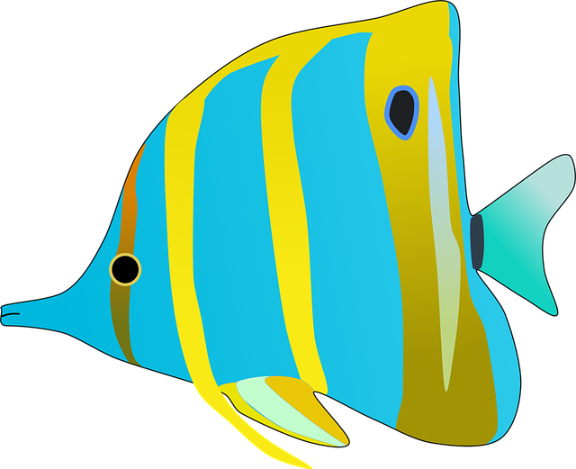Free download Butterfly Fish Aquarium - Free vector graphic on Pixabay free illustration to be edited with GIMP free online image editor