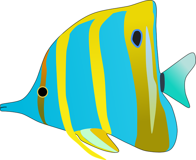 Free download Butterfly Fish Aquarium - Free vector graphic on Pixabay free illustration to be edited with GIMP free online image editor