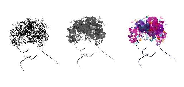 ดาวน์โหลดฟรี Butterfly Hair - ภาพประกอบฟรีที่จะแก้ไขด้วย GIMP โปรแกรมแก้ไขรูปภาพออนไลน์ฟรี