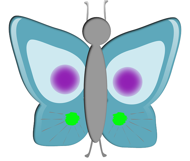 Free download Butterfly Insect Animal - Free vector graphic on Pixabay free illustration to be edited with GIMP free online image editor