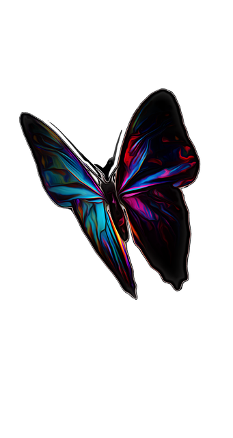 Free download Butterfly Insect Summer -  free photo or picture to be edited with GIMP online image editor