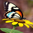 butterfly landing on sunflowers wallpaper  screen for extension Chrome web store in OffiDocs Chromium