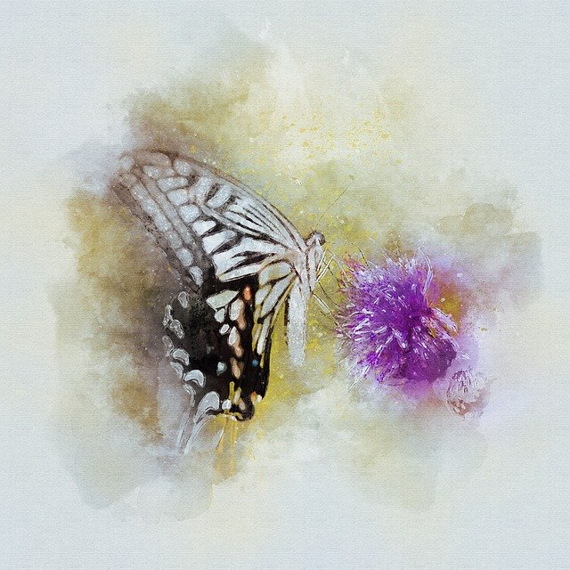 הורדה חינם Butterfly Nature Insects - תמונה או תמונה בחינם לעריכה עם עורך התמונות המקוון GIMP