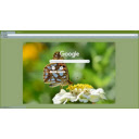 Butterfly on a flower  screen for extension Chrome web store in OffiDocs Chromium