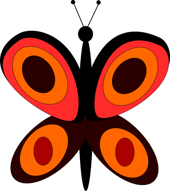 Free download Butterfly Orange Insect - Free vector graphic on Pixabay free illustration to be edited with GIMP free online image editor