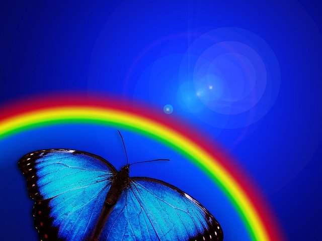 Free download Butterfly Rainbow Light -  free illustration to be edited with GIMP free online image editor