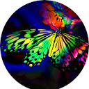 Butterfly Wallpaper  screen for extension Chrome web store in OffiDocs Chromium
