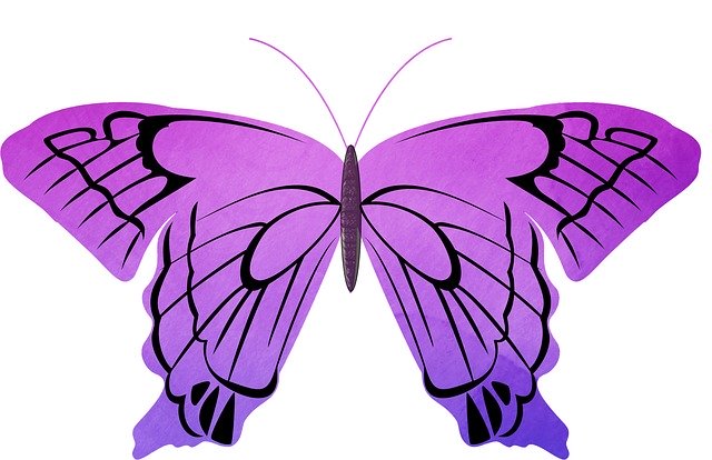 Free download Butterfly Watercolor Purple -  free illustration to be edited with GIMP free online image editor