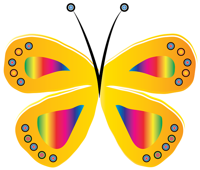 Free download Butterfly Yellow Circle -  free illustration to be edited with GIMP free online image editor