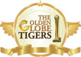 Free download C A Anzar - Globe award free photo or picture to be edited with GIMP online image editor