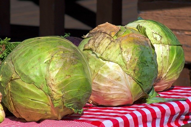 Free download Cabbage At The Market Jackson -  free photo or picture to be edited with GIMP online image editor