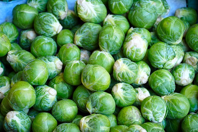 Free download cabbage food vegetables produce free picture to be edited with GIMP free online image editor