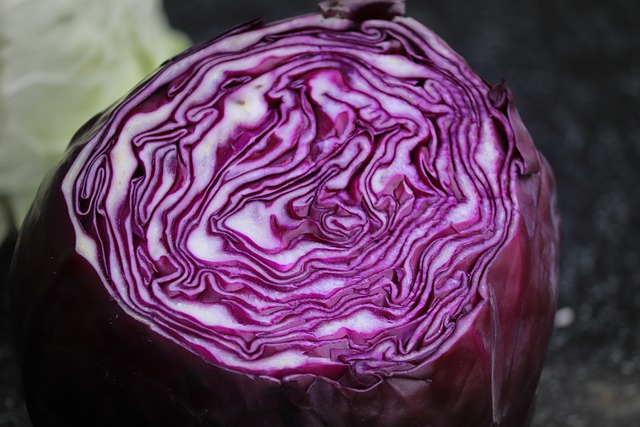 Free download cabbage red cabbage cabbage head free picture to be edited with GIMP free online image editor