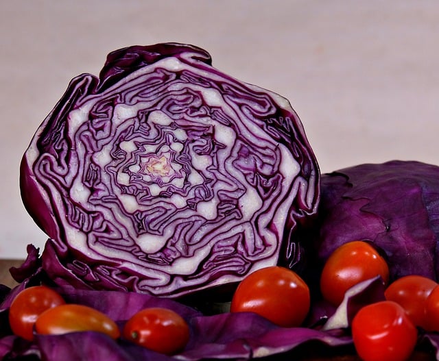 Free download cabbage tomato purple organic free picture to be edited with GIMP free online image editor