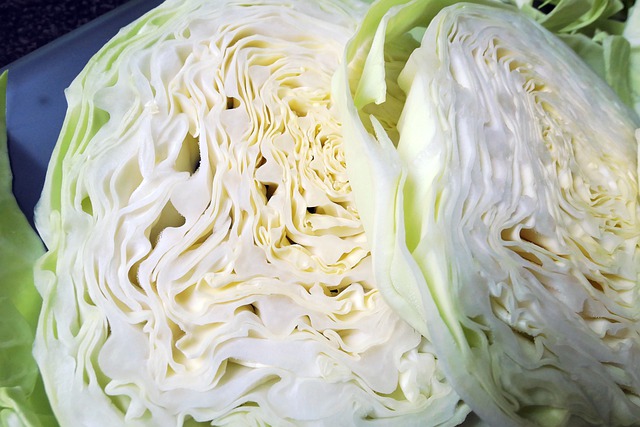 Free download cabbage vegetable food produce free picture to be edited with GIMP free online image editor