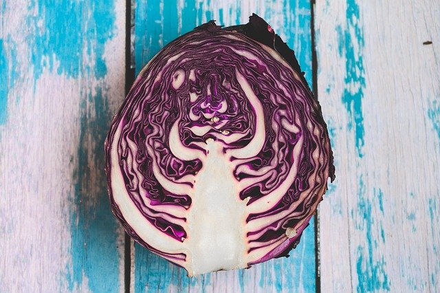 Free download cabbage vegetable purple cabbage free picture to be edited with GIMP free online image editor
