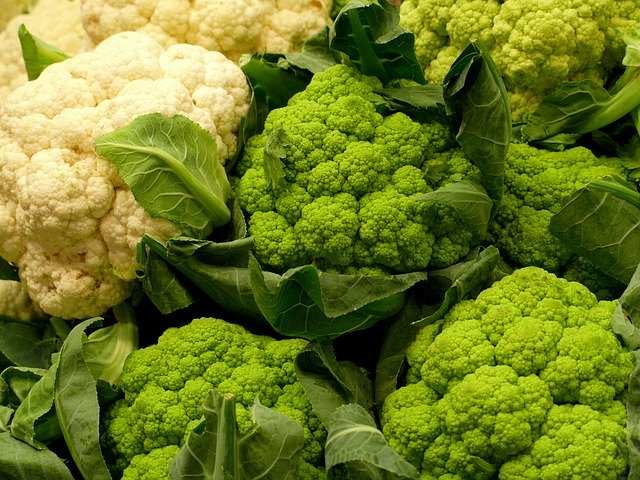 Descarga gratuita Cabbage Vegetables Sano - foto o imagen gratuita para editar con el editor de imágenes en línea GIMP