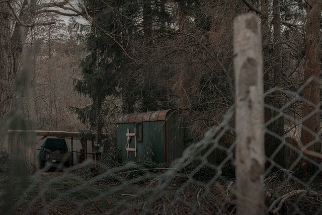 Free download cabin forest lonely wood farmer free picture to be edited with GIMP free online image editor