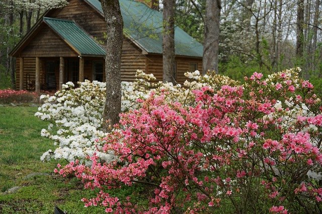 Free download Cabin Smoky Mountains Spring -  free photo or picture to be edited with GIMP online image editor