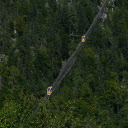 Cable car through the forest  screen for extension Chrome web store in OffiDocs Chromium