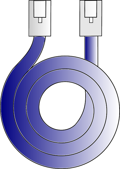 Descarga gratuita Cable Red Datos - Gráficos vectoriales gratis en Pixabay ilustración gratuita para editar con GIMP editor de imágenes en línea gratuito