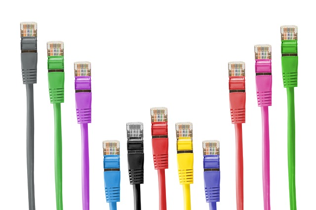 Free download cable patch patch cord rj rj45 free picture to be edited with GIMP free online image editor