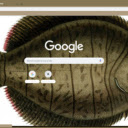 Ca bon  screen for extension Chrome web store in OffiDocs Chromium
