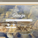 Ca bong  screen for extension Chrome web store in OffiDocs Chromium