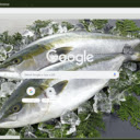 Ca cam  screen for extension Chrome web store in OffiDocs Chromium