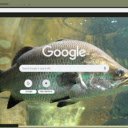 Ca Chem  screen for extension Chrome web store in OffiDocs Chromium