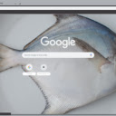 Ca chim  screen for extension Chrome web store in OffiDocs Chromium