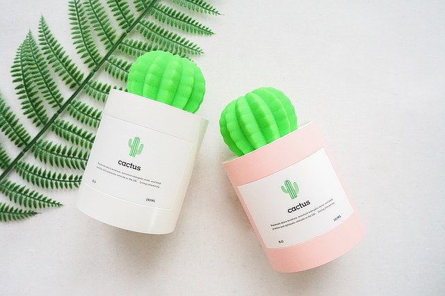 ดาวน์โหลดฟรี Cactus Humidifier - ภาพถ่ายหรือรูปภาพฟรีที่จะแก้ไขด้วยโปรแกรมแก้ไขรูปภาพออนไลน์ GIMP