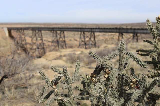 Free download Cactus Train Trellis Desert -  free photo or picture to be edited with GIMP online image editor