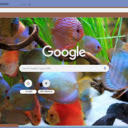 Ca do cam  screen for extension Chrome web store in OffiDocs Chromium
