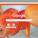 Ca do day  screen for extension Chrome web store in OffiDocs Chromium