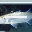 Ca doi  screen for extension Chrome web store in OffiDocs Chromium