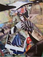 Free download Cadre de vie-collage free photo or picture to be edited with GIMP online image editor