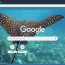 Ca duoi  screen for extension Chrome web store in OffiDocs Chromium