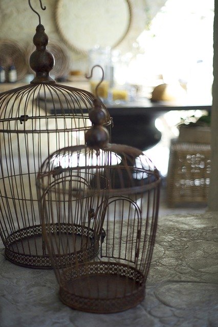 Free download Cage Bird Metal -  free photo or picture to be edited with GIMP online image editor