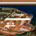 Ca Grouper  screen for extension Chrome web store in OffiDocs Chromium