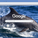 Ca Heo Bottlenose  screen for extension Chrome web store in OffiDocs Chromium