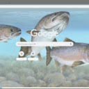 Ca Hoi  screen for extension Chrome web store in OffiDocs Chromium