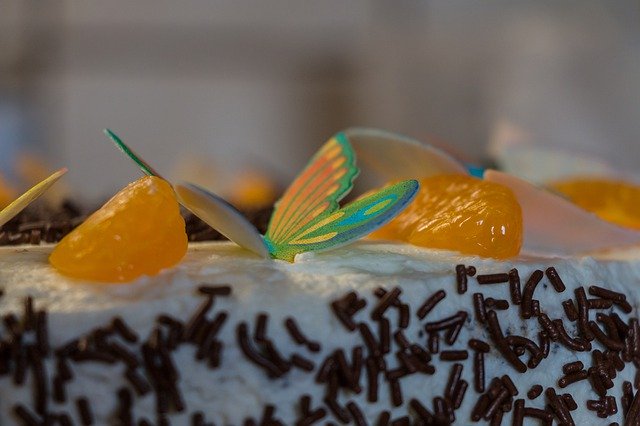 Download grátis Cake Eat Tangerines Birthday - foto ou imagem grátis para ser editada com o editor de imagens online GIMP