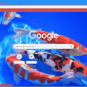 Ca Koi  screen for extension Chrome web store in OffiDocs Chromium