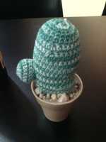 Free download Caktus free photo or picture to be edited with GIMP online image editor