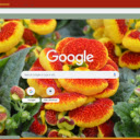 Calceolaria  screen for extension Chrome web store in OffiDocs Chromium