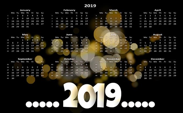 Template Photo Calendar New YearS Day 2019 for OffiDocs
