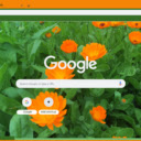 Calendula Officinalis  screen for extension Chrome web store in OffiDocs Chromium