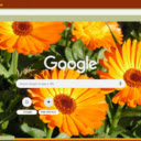 Calendula Orange  screen for extension Chrome web store in OffiDocs Chromium