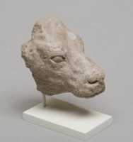Free download Calfs head free photo or picture to be edited with GIMP online image editor